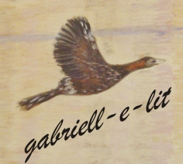 gabriell-e-lit